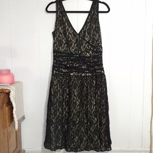 Spiegel V Neck Lace Dress